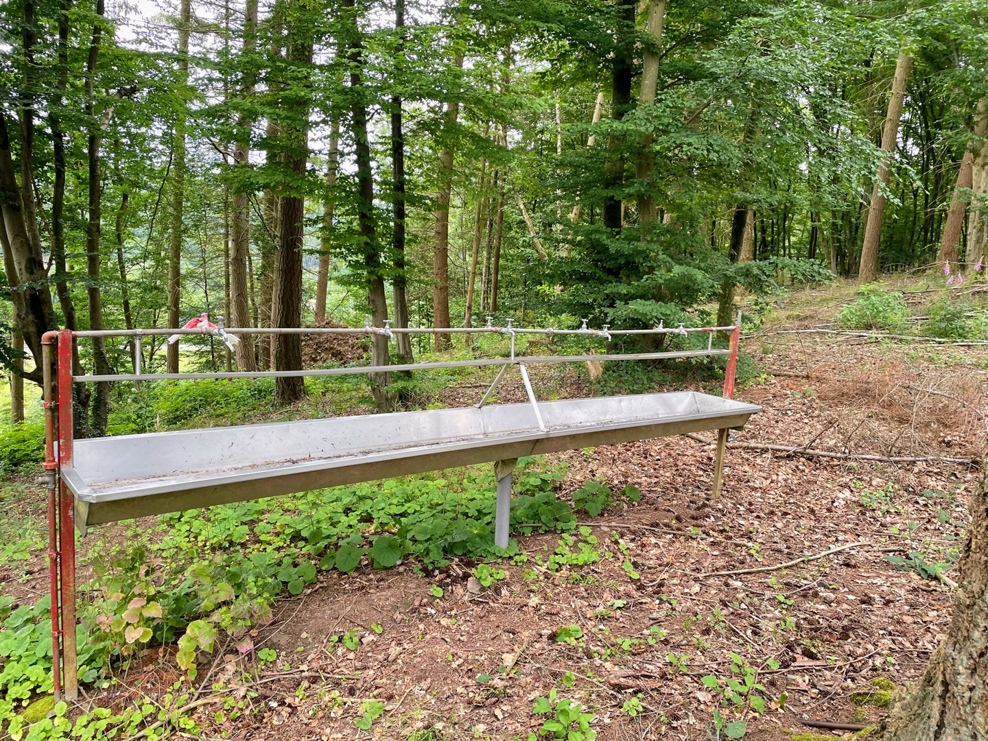 Scouts St Sébastien - WILTZ - 8