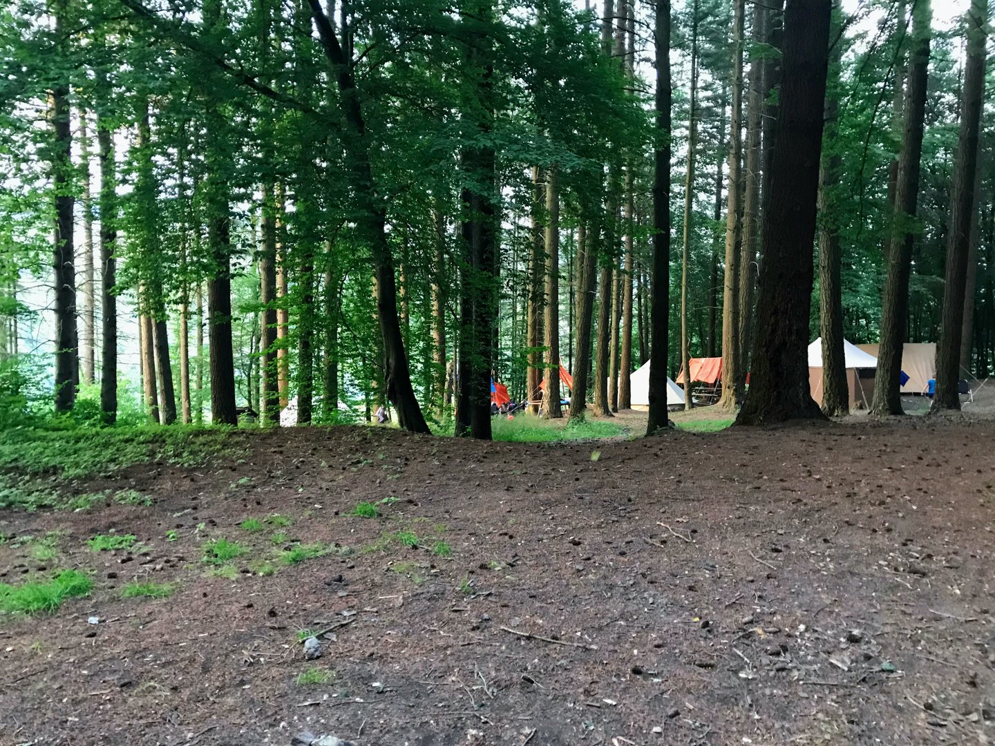 Scouts St Sébastien - WILTZ - 10